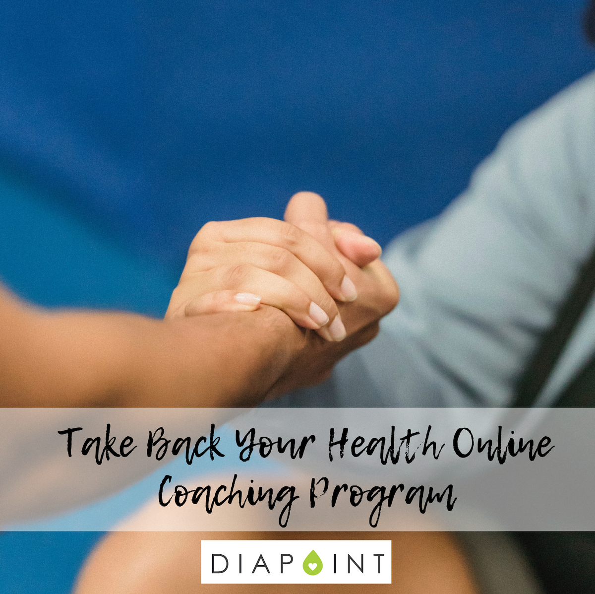 Take Back Your Health Online Program – Diapointshop